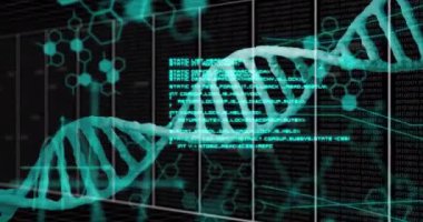 DNA standı ve ızgara üzerinde dijital veri işleme animasyonu. Küresel bilim, bağlantılar, hesaplama ve veri işleme kavramı dijital olarak oluşturulmuş video.