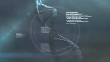 DNA ipliği üzerinde dijital veri işleme animasyonu. Küresel bilim, bağlantılar, hesaplama ve veri işleme kavramı dijital olarak oluşturulmuş video.