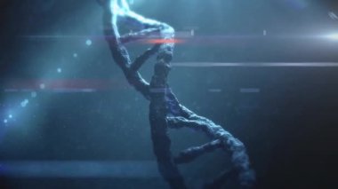 DNA ipliği üzerinde dijital veri işleme animasyonu. Küresel bilim, bağlantılar, hesaplama ve veri işleme kavramı dijital olarak oluşturulmuş video.