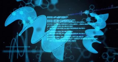 Dijital veri işleme ve siyah arka plandaki DNA iplikçiklerinin animasyonu. Küresel bilim, araştırma, bağlantılar, hesaplama ve veri işleme kavramı dijital olarak oluşturulmuş video.