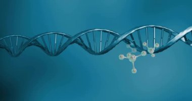 DNA ipliği üzerinde dönen moleküllerin animasyonu. Küresel bilim, bağlantılar, hesaplama ve veri işleme kavramı dijital olarak oluşturulmuş video.