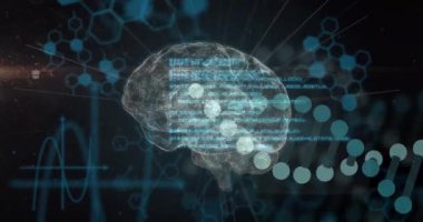 DNA iplikleri ve beyin üzerinde veri işleme animasyonu. Bilim, teknoloji ve dijital arayüz kavramı dijital olarak oluşturulmuş video.