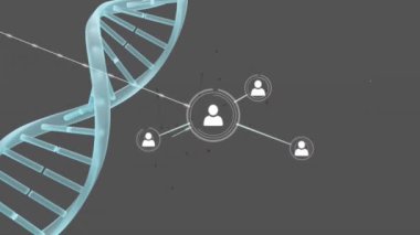 Siyah arkaplanda DNA iplikçikleri üzerinde insanlarla olan bağlantı ağının animasyonu. Dijital olarak oluşturulmuş küresel bağlantılar, hesaplama ve veri işleme kavramı.