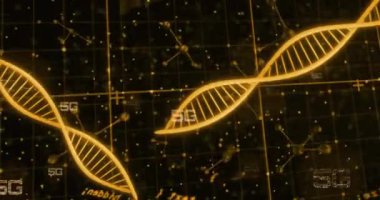 Siyah arkaplanda 5G metin, dijital veri işleme ve DNA iplikçiklerinin animasyonu. Küresel bilim, araştırma, bağlantılar, hesaplama ve veri işleme kavramı dijital olarak oluşturulmuş video.