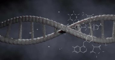 Kimyasal formülün animasyonu ve gri arka planda DNA ipliği. Bilim, teknoloji ve dijital arayüz kavramı dijital olarak oluşturulmuş video.