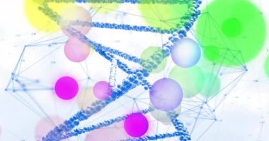 DNA iplikçiklerinin ve beyaz arkaplanda ışık lekelerinin animasyonu. Küresel bilim, araştırma, tıp ve veri işleme kavramı dijital olarak oluşturulmuş video.