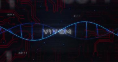 Veri işleme üzerinden DNA ipliği ve virüs metninin animasyonu. Teknoloji, iş ve dijital arayüz kavramı dijital olarak oluşturulmuş video.