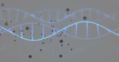 Siyah noktaların üzerindeki DNA iplikçiklerinin animasyonu. Teknoloji, iş ve dijital arayüz kavramı dijital olarak oluşturulmuş video.