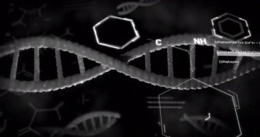 Kimyasal formülün animasyonu ve siyah arka planda DNA ipliği. Bilim, teknoloji ve dijital arayüz kavramı dijital olarak oluşturulmuş video.
