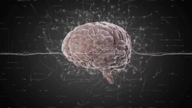 Karanlık arka planda beynin üzerinde dijital veri işleme animasyonu. Dijital olarak oluşturulmuş küresel bağlantılar, hesaplama ve veri işleme kavramı.