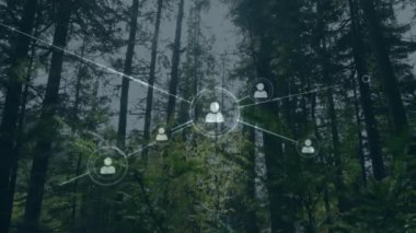 Orman üzerindeki simgelerle bağlantı ağının animasyonu. Teknoloji, doğa ve dijital arayüz kavramı dijital olarak oluşturulmuş video.
