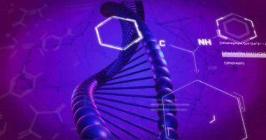 Kimyasal formülün animasyonu ve mavi arka planda DNA ipliği. Bilim, teknoloji ve dijital arayüz kavramı dijital olarak oluşturulmuş video.