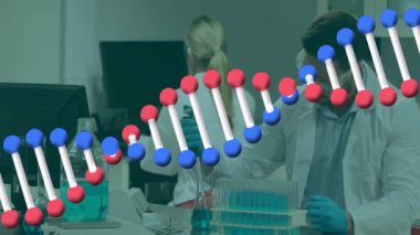 Laboratuvarda çalışan çeşitli bilim adamlarının DNA dizilerinin animasyonu. Küresel bilim, bilgisayar ve dijital arayüz kavramı dijital olarak oluşturulmuş video.