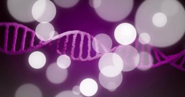 DNA iplikçiklerinin animasyonu ve koyu arkaplanda ışık lekeleri. Küresel bilim, araştırma, tıp ve veri işleme kavramı dijital olarak oluşturulmuş video.