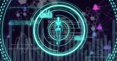 Karanlık arka planda bilimsel veri işleme ve iskeletin animasyonu. Küresel bilim, araştırma, bağlantılar, hesaplama ve veri işleme kavramı dijital olarak oluşturulmuş video.