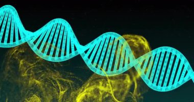 DNA iplikçiklerinin animasyonu ve karanlık arka planda parlayan bağlantıların örgüsü. Küresel bilim, araştırma, tıp ve veri işleme kavramı dijital olarak oluşturulmuş video.