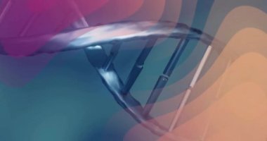 Arka planda renkli dalgalar olan DNA ipliği canlı bir animasyon yaratıyor. Genetik, biyoloji, bilim, teknoloji