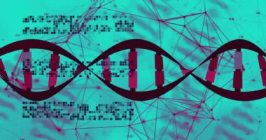 DNA iplikçikleri üzerinde bağlantı ve veri işleme ağının animasyonu. Küresel bilim, bağlantılar, hesaplama ve veri işleme kavramı dijital olarak oluşturulmuş video.