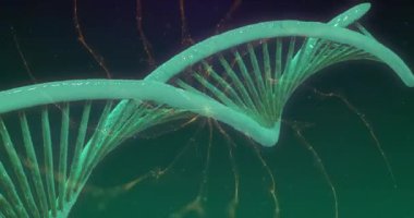 Yeşil arka planda parlayan ışık yollarının üzerinde dönen DNA iplikçiklerinin animasyonu. Küresel bilim, bağlantılar, hesaplama ve veri işleme kavramı dijital olarak oluşturulmuş video.