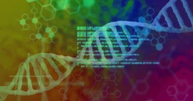 Veri işleme üzerindeki DNA iplikçiklerinin animasyonu. Bilim, teknoloji ve dijital arayüz kavramı dijital olarak oluşturulmuş video.