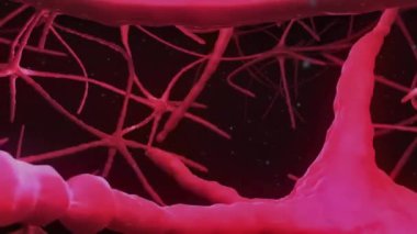 Siyah arkaplan üzerinde nöron hücreleri ağının animasyonu. Küresel tıp, bağlantılar, hesaplama ve veri işleme kavramı dijital olarak oluşturulmuş video.