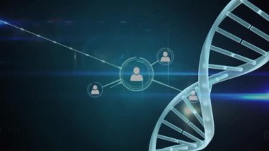 Siyah arkaplanda DNA iplikçikleri üzerinde insanlarla olan bağlantı ağının animasyonu. Dijital olarak oluşturulmuş küresel bağlantılar, hesaplama ve veri işleme kavramı.