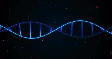 Siyah arka planda dijital veri işleme ve DNA iplikçiklerinin canlandırılması. Küresel bilim, araştırma, bağlantılar, hesaplama ve veri işleme kavramı dijital olarak oluşturulmuş video.