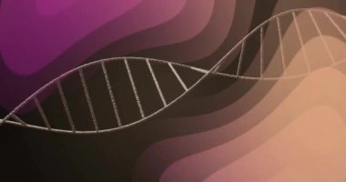 Mor ve kahverengi tonlarda soyut dalgalı arka planda DNA ipliği animasyonu. Genetik, biyoteknoloji, bilim, genom, moleküler, biyoloji kavramı