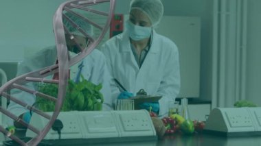 Laboratuvarda çalışan çeşitli bilim adamlarının DNA dizilerinin animasyonu. Küresel bilim, bilgisayar ve dijital arayüz kavramı dijital olarak oluşturulmuş video.