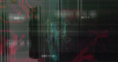 Kafatası ve kemiklerin animasyonu, bilgisayar sunucularında dijital veri işleme. Küresel siber güvenlik, bağlantılar, hesaplama ve veri işleme kavramı dijital olarak oluşturuldu.