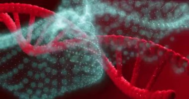 DNA iplikçiklerinin animasyonu ve koyu arkaplanda ışık lekeleri. Küresel bilim, araştırma, tıp ve veri işleme kavramı dijital olarak oluşturulmuş video.