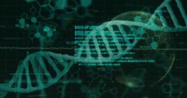 DNA diziliminin veri işleme ve küreye yayılması. Sosyal medya, teknoloji ve dijital arayüz kavramı dijital olarak oluşturulmuş video.