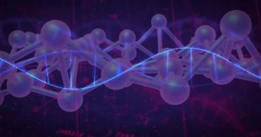 Karanlık arka plandaki DNA iplikçiklerinin üzerinde bilimsel veri işleme animasyonu. Küresel bilim, bağlantılar, hesaplama ve veri işleme kavramı dijital olarak oluşturulmuş video.