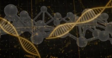 Karanlık arka plandaki DNA iplikçiklerinin üzerinde bilimsel veri işleme animasyonu. Küresel bilim, bağlantılar, hesaplama ve veri işleme kavramı dijital olarak oluşturulmuş video.