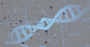Veri işleme ve şekillerinin üzerindeki DNA iplikçiklerinin animasyonu. Sosyal medya, teknoloji ve dijital arayüz kavramı dijital olarak oluşturulmuş video.