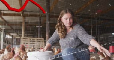 Ahırda tavuk besleyen bir kadın için kırmızı çizgi animasyon. Maliye, tarım, çiftlik hayvanları, ekonomi, kayıp, kırsal