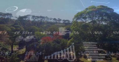 Bereketli yeşil orman manzarası üzerinde finansal veri işleme animasyonu yapılıyor. Finans, teknoloji, animasyon, çevre, doğa, sürdürülebilirlik