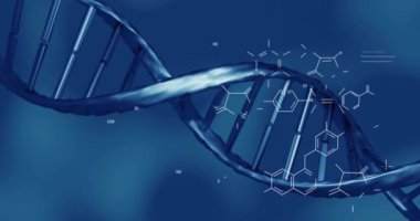 DNA iplikçikleri üzerinde bilimsel veri işleme animasyonu. Küresel bilim, bağlantılar, hesaplama ve veri işleme kavramı, dijital olarak oluşturulmuş video.