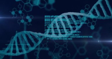 Mavi altıgen desenler üzerinde DNA ipliği ve bilimsel veri işleme animasyonu. Bilim, genetik, biyoteknoloji, analiz, moleküler, araştırma