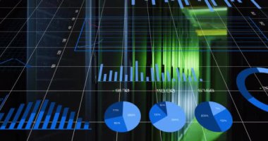 Bilgisayar sunucuları üzerinde istatistik ve dijital veri işleme animasyonları. Küresel bağlantılar, hesaplama ve veri işleme kavramı, dijital olarak oluşturulmuş video.