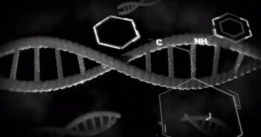 DNA iplikçikleri üzerinde bilimsel veri işleme animasyonu. Küresel bilim, bağlantılar, hesaplama ve veri işleme kavramı, dijital olarak oluşturulmuş video.