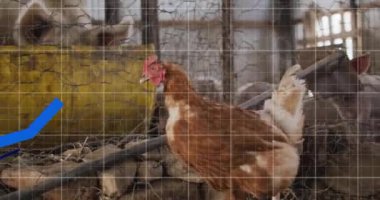 Çiftlik ortamındaki tavukların grafiği, veri eğilimlerini gösteriyor. Tarım, tarım, veri analizi, istatistik, teknoloji, kümes hayvanları