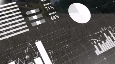 Dünya haritası ve şebeke arkaplanı üzerinde finansal veri grafikleri ve grafikleri canlandırması.