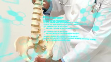 Omurga modeli tutuluyor, doktor tıbbi veri animasyonu hastanede. Sağlık, anatomi, teknoloji, yenilik