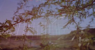 Finansal veriler ve grafikler doğal ortamdaki ağaç dalları üzerinde. Finans, büyüme, çevre, sürdürülebilirlik, doğa, yatırım