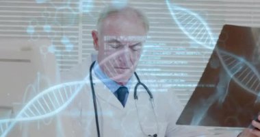 Kafkasyalı erkek doktorun röntgen taramasını okuduğu verilerin işlendiği DNA iplikçiklerinin animasyonu. Küresel tıp, sağlık, bilim ve dijital arayüz kavramı, dijital olarak üretilen video.