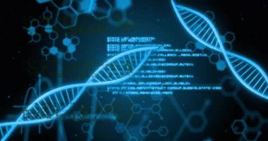 DNA iplikçiklerinin üzerinde veri işleme animasyonu. Bilim ve dijital arayüz kavramı, dijital olarak üretilen video.