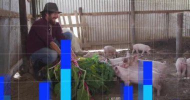 Domuzları beslemek, yapraklı yeşillikleri olan çiftçiler, olay yerinde küresel tarım veri animasyonu. Çiftçilik, çiftlik hayvanları, teknoloji, sürdürülebilirlik, üretim, animasyon