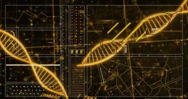 Siyah arka plandaki DNA iplikçikleri üzerinde dijital veri işleme animasyonu. Küresel bilim, bağlantılar, hesaplama ve veri işleme kavramı, dijital olarak oluşturulmuş video.