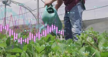 Seradaki su tesisleri, finansal veriler ve borsa animasyonları. Tarım, tarım, veri analizi, teknoloji, yatırım